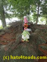 /home//u458753944/public_html/sourcegallery///////////Chickens/Soda Addiction/P7251226.JPG